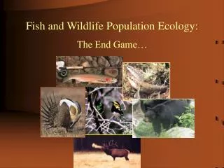 Fish and Wildlife Population Ecology: The End Game…