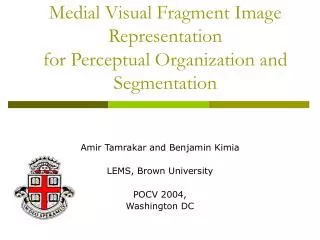 Medial Visual Fragment Image Representation for Perceptual Organization and Segmentation