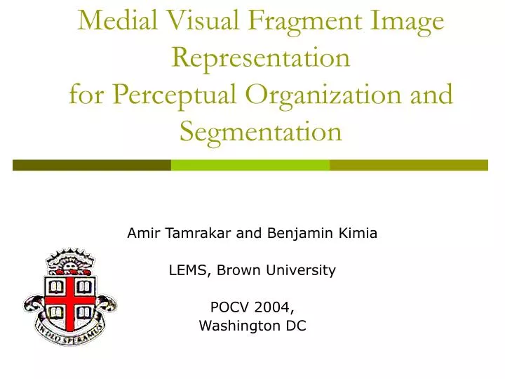 medial visual fragment image representation for perceptual organization and segmentation