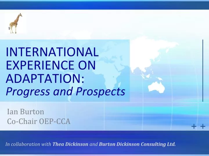 international experience on adaptation progress and prospects