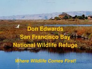 Don Edwards San Francisco Bay National Wildlife Refuge