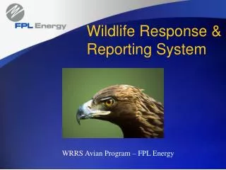 Wildlife Response &amp; Reporting System