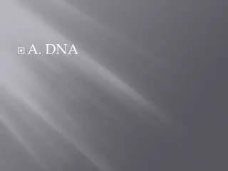 A. DNA