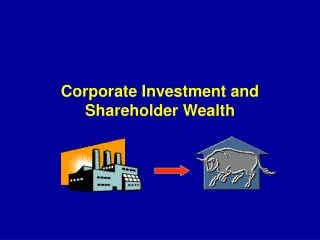 Corporate Investment and Shareholder Wealth