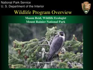 Wildlife Program Overview