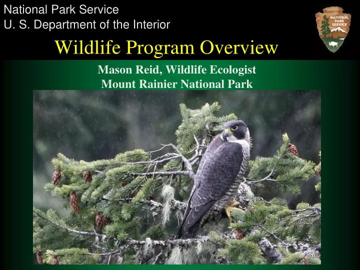 wildlife program overview