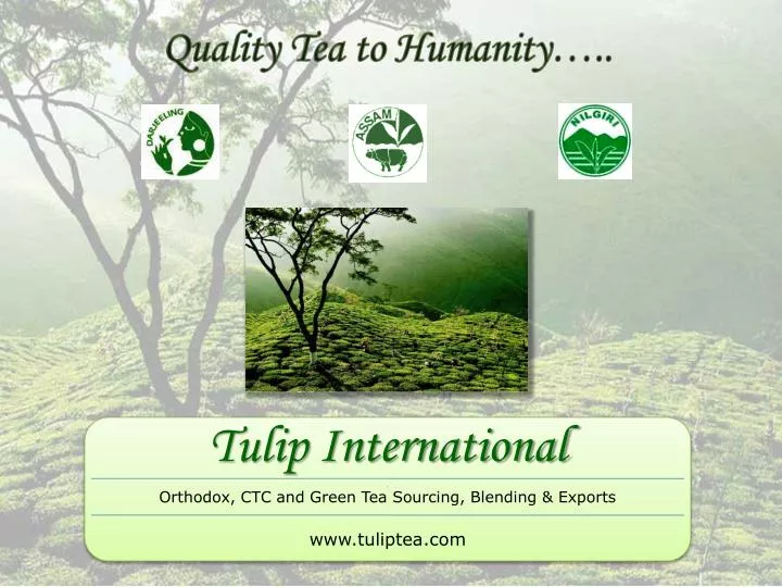 quality tea to humanity