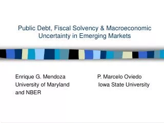 Public Debt, Fiscal Solvency &amp; Macroeconomic Uncertainty in Emerging Markets