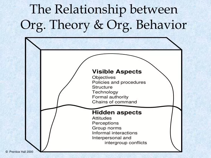 the relationship between org theory org behavior