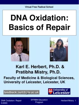 DNA Oxidation: Basics of Repair