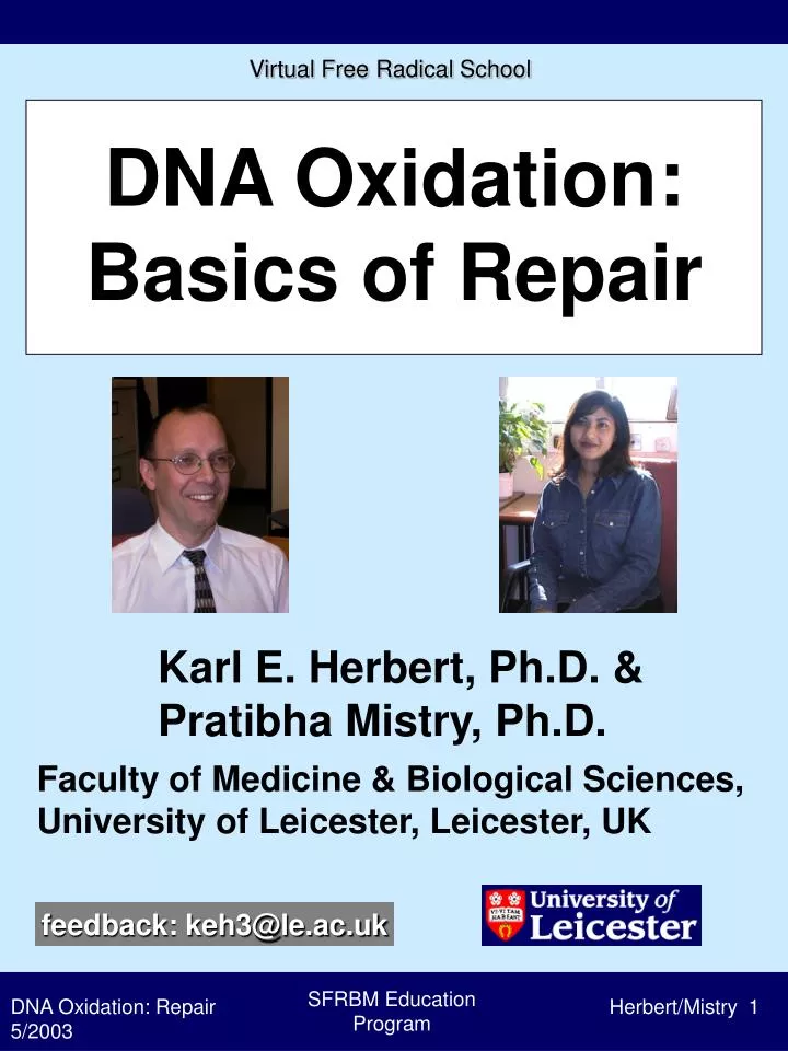 dna oxidation basics of repair