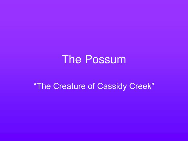 the possum