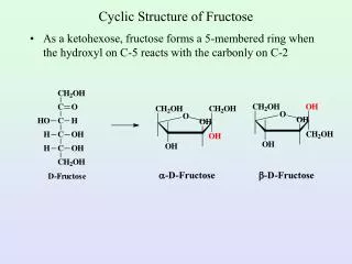 Cyclic Structure of Fructose