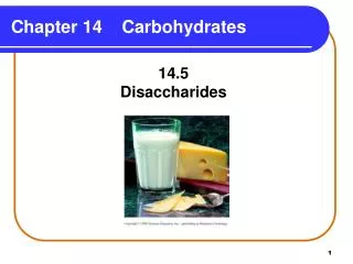 Chapter 14 Carbohydrates