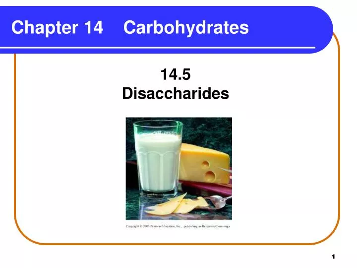 chapter 14 carbohydrates
