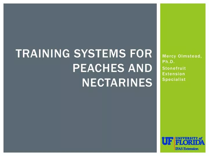 training systems for peaches and nectarines