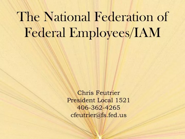 the national federation of federal employees iam