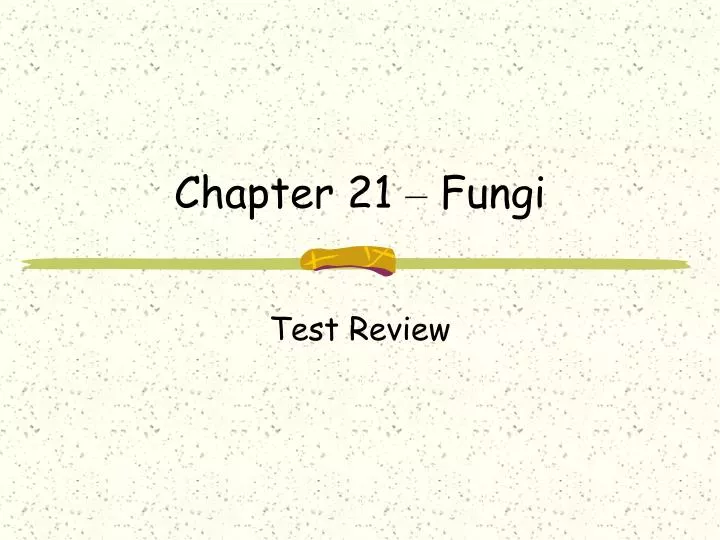 chapter 21 fungi