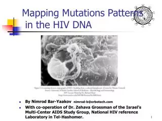 Mapping Mutations Patterns in the HIV DNA