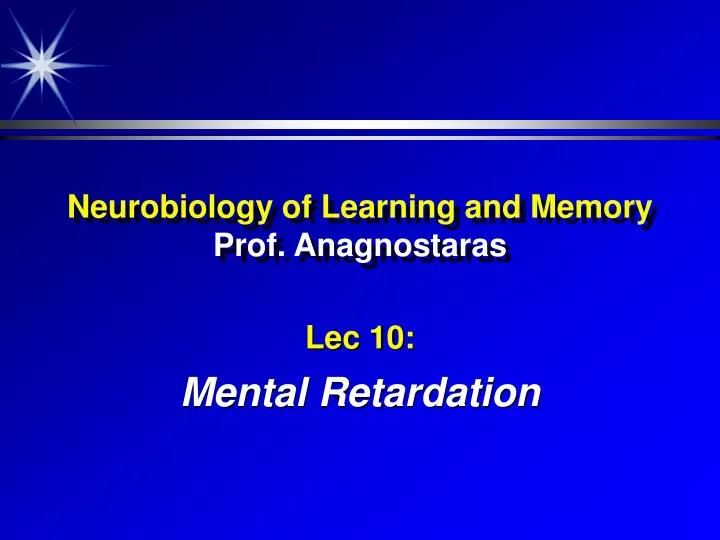 neurobiology of learning and memory prof anagnostaras