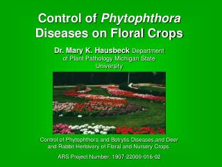 Control of Phytophthora Diseases on Floral Crops