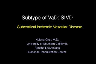 Subtype of VaD: SIVD