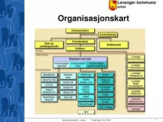 organisasjonskart
