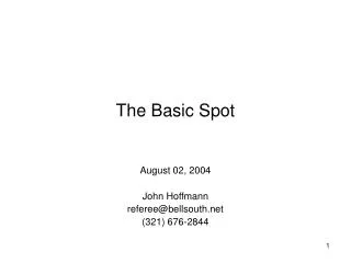 The Basic Spot