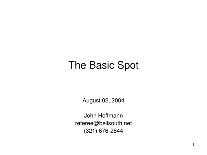 the basic spot