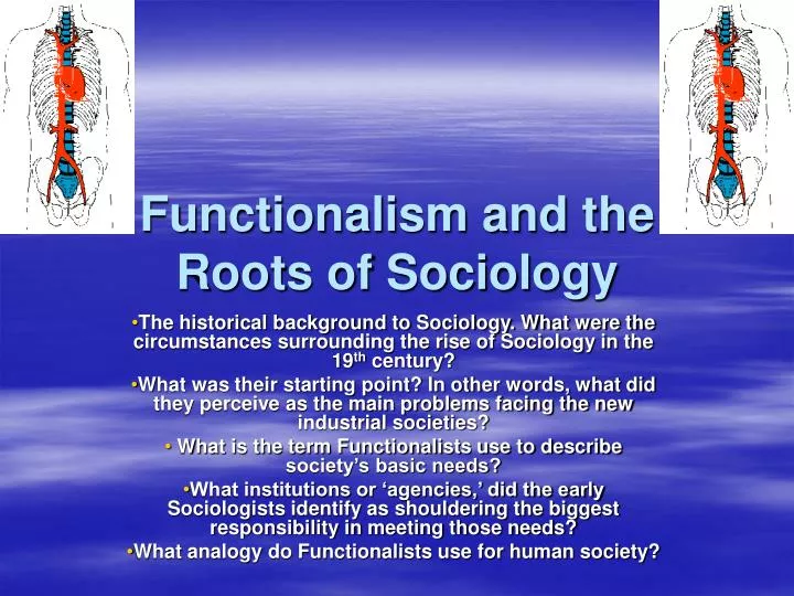 functionalism and the roots of sociology