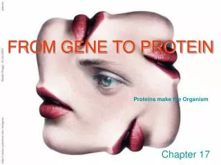 FROM GENE TO PROTEIN