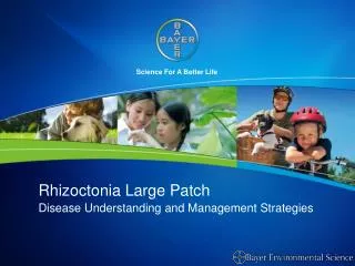 Rhizoctonia Large Patch