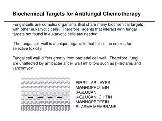 Biochemical Targets for Antifungal Chemotherapy