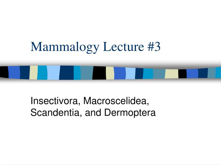 mammalogy lecture 3