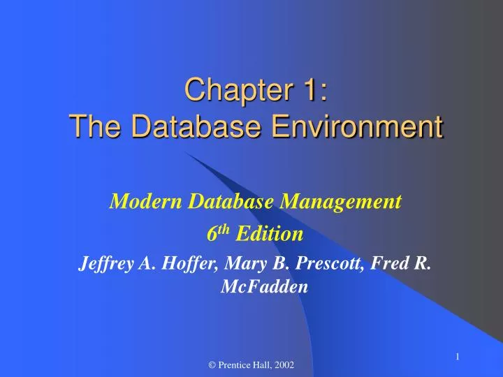 chapter 1 the database environment