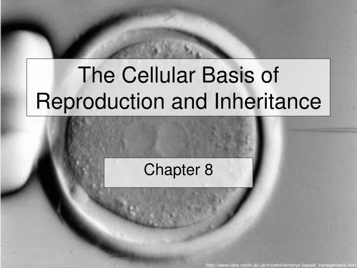 the cellular basis of reproduction and inheritance