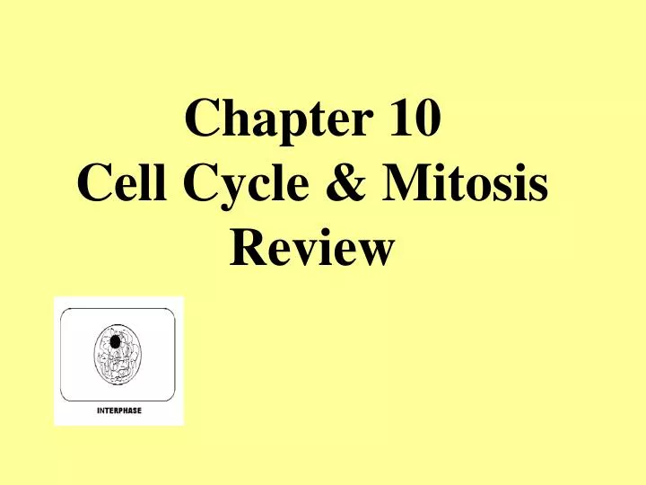 chapter 10 cell cycle mitosis review