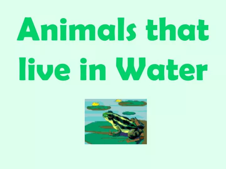 animals that live in water