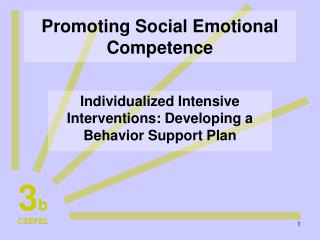 Promoting Social Emotional Competence