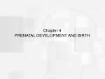 Chapter 4 PRENATAL DEVELOPMENT AND BIRTH - slide 1