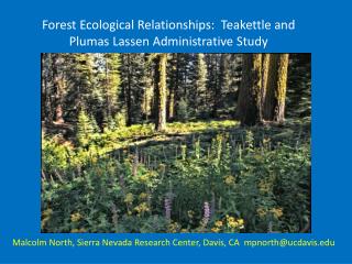 Forest Ecological Relationships: Teakettle and Plumas Lassen Administrative Study