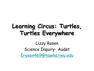 Learning Circus: Turtles, Turtles Everywhere