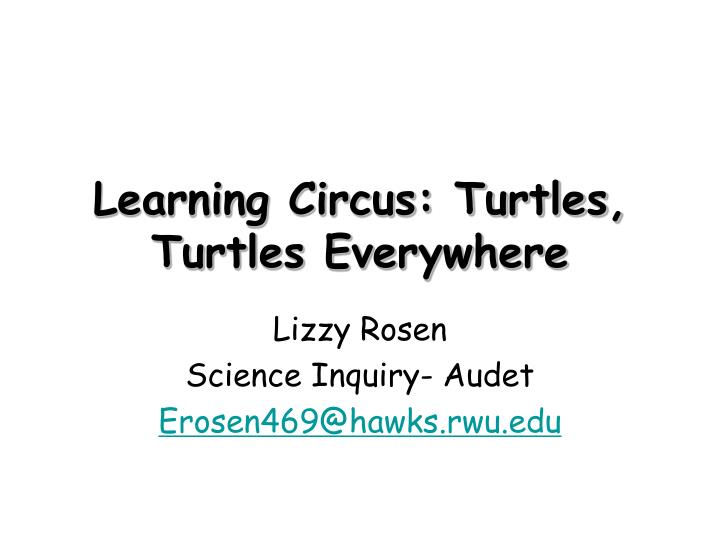 learning circus turtles turtles everywhere