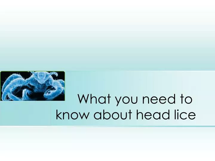 what you need to know about head lice