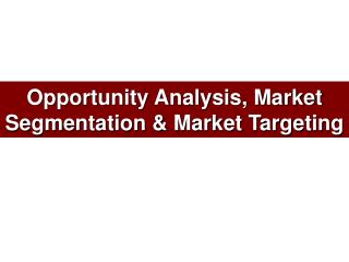 Opportunity Analysis, Market Segmentation &amp; Market Targeting