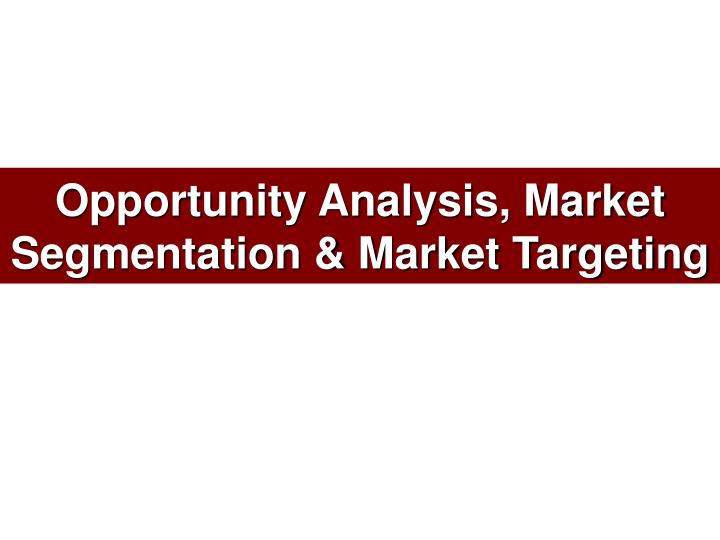 opportunity analysis market segmentation market targeting