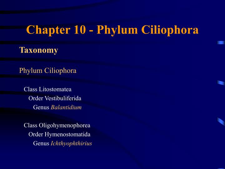 chapter 10 phylum ciliophora