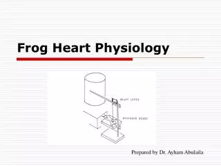 Frog Heart Physiology