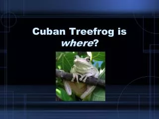 Cuban Treefrog is where ?