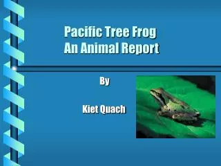 Pacific Tree Frog An Animal Report